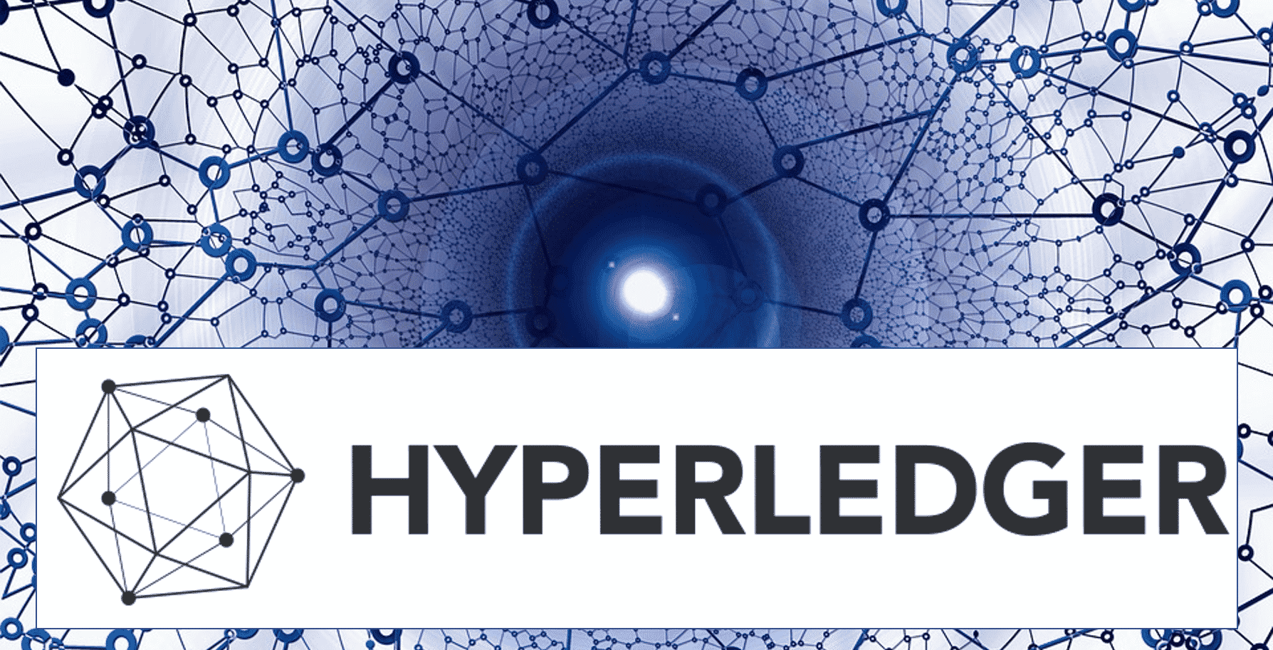Hyperledger Launches ‘Ursa,’ an Open Source Blockchain ...